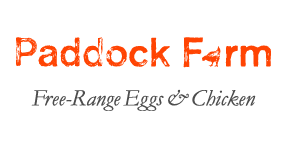 A variant of the logo