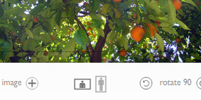 A closeup of the image layout controls